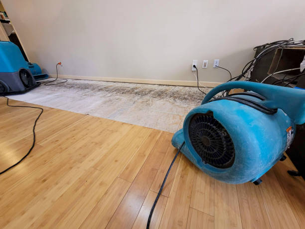 Professional Water Damage Repair technician working in Highwood, IL